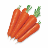Fresh Carrots _ Onions_ pepper and garlic for sale